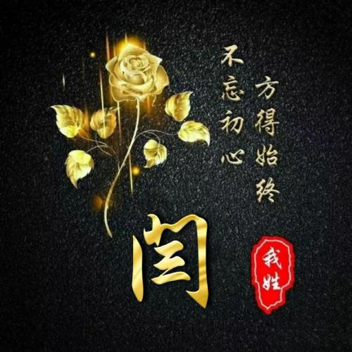 女人专用玫瑰花头像(3)