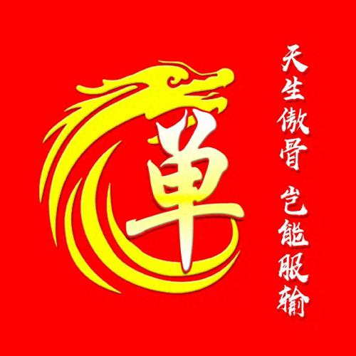 彰显独特的个性风采‌霸气姓氏头像(4)