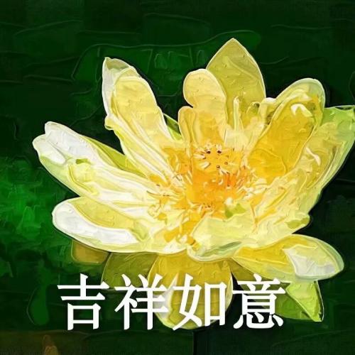 清雅脱俗莲花带字头像(80)