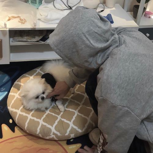 男生撩妹专用头像自拍(16)