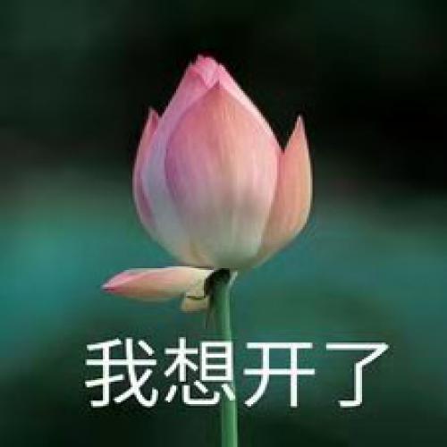 清雅脱俗莲花带字头像(43)