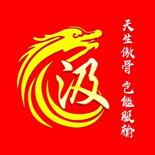 彰显独特的个性风采‌霸气姓氏头像(5)