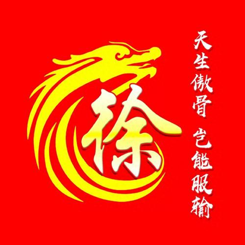 彰显独特的个性风采‌霸气姓氏头像(25)