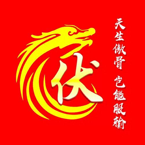 彰显独特的个性风采‌霸气姓氏头像(14)