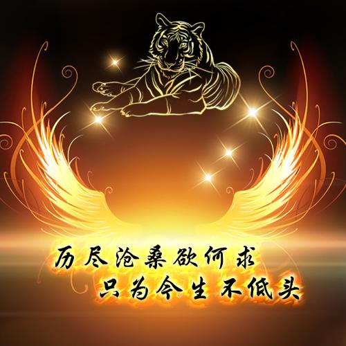 简单的头像素材无水印素材(17)