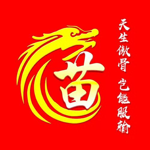 彰显独特的个性风采‌霸气姓氏头像(3)