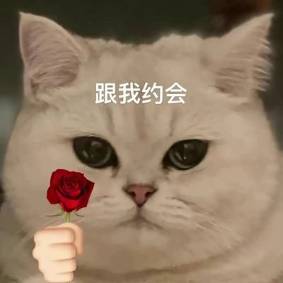 好玩的微信头像搞怪(2)