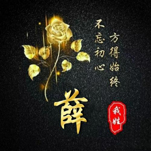 女人专用玫瑰花头像(40)