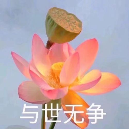 清雅脱俗莲花带字头像(56)