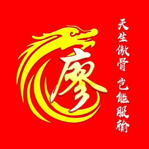 彰显独特的个性风采‌霸气姓氏头像(10)