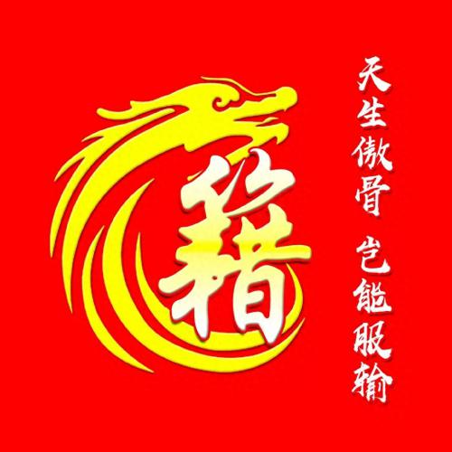 彰显独特的个性风采‌霸气姓氏头像(30)