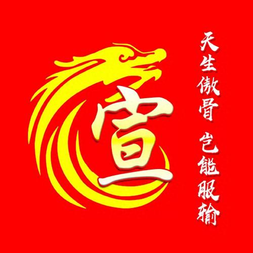 彰显独特的个性风采‌霸气姓氏头像(1)