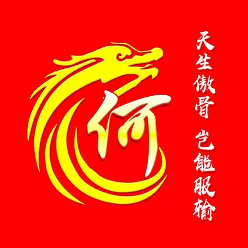 彰显独特的个性风采‌霸气姓氏头像(13)