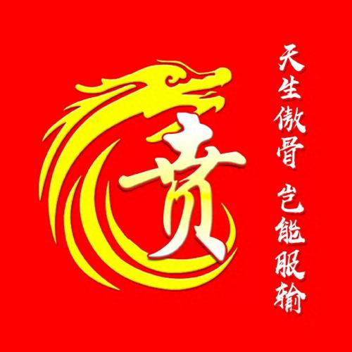 彰显独特的个性风采‌霸气姓氏头像(11)