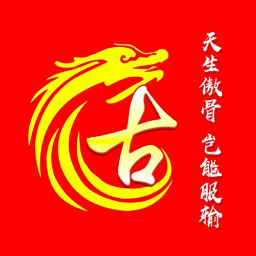 彰显独特的个性风采‌霸气姓氏头像(22)