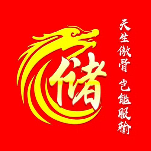 彰显独特的个性风采‌霸气姓氏头像(6)