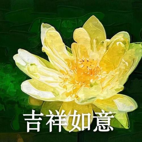 清雅脱俗莲花带字头像(11)