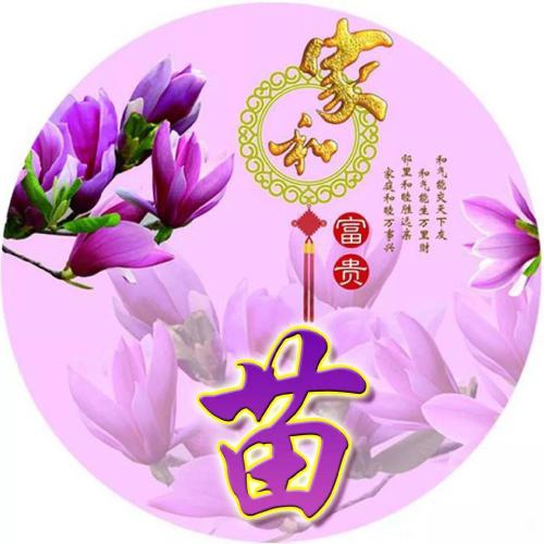 百家姓头像大全高清图片(25)