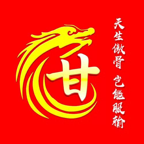 彰显独特的个性风采‌霸气姓氏头像(12)