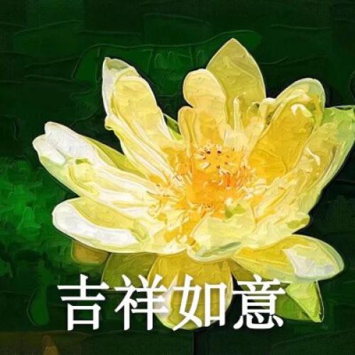 清雅脱俗莲花带字头像(53)