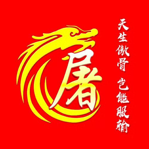 彰显独特的个性风采‌霸气姓氏头像(8)