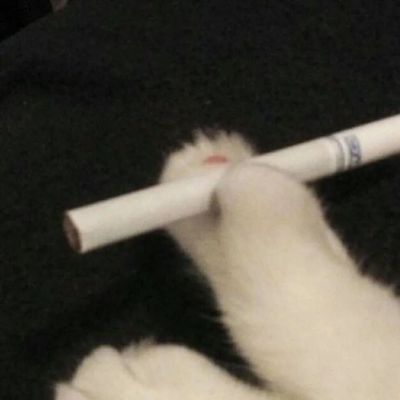 一看就很靠谱的微信头像搞笑(6)
