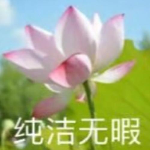 清雅脱俗莲花带字头像(59)