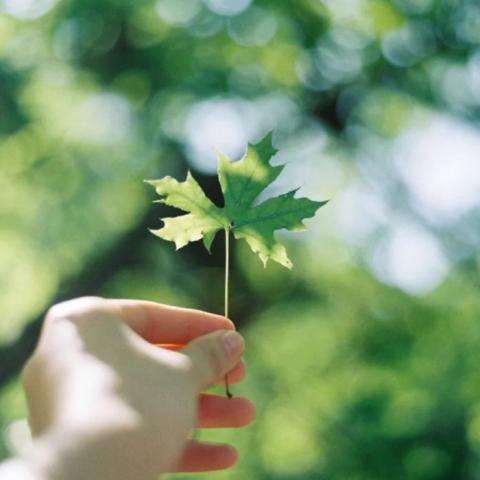 最美风景头像：提升你微信形象的秘诀(1)