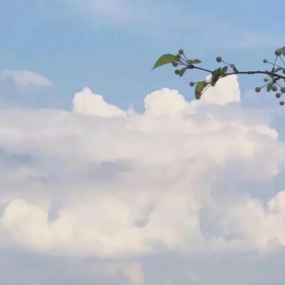 让人看了就静心的头像(9)