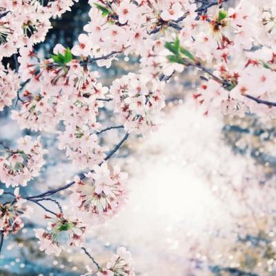 女人招财转运微信头像图片(2)