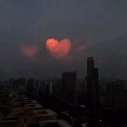 让人看了就静心的头像(8)