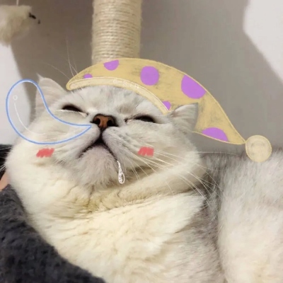 猫咪情侣头像一对呆萌(5)