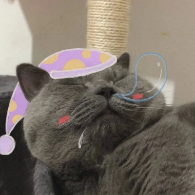 猫咪情侣头像一对呆萌(6)