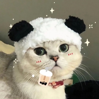 猫咪情侣头像一对呆萌(4)