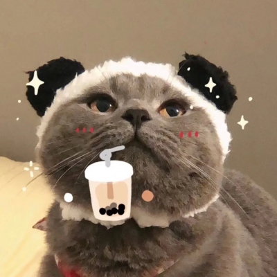 猫咪情侣头像一对呆萌(3)