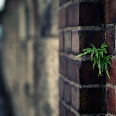 qq头像风景原图(6)