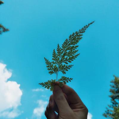 简约干净微信头像风景,高清好看的干净简约头像微信唯美风景图片(7)