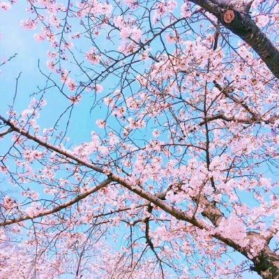微信头像简约干净的风景图片(3)