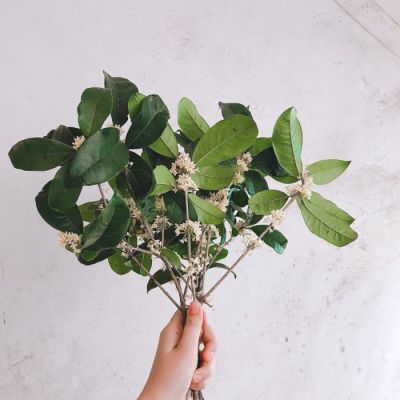简单的头像图片风景唯美静物(17)