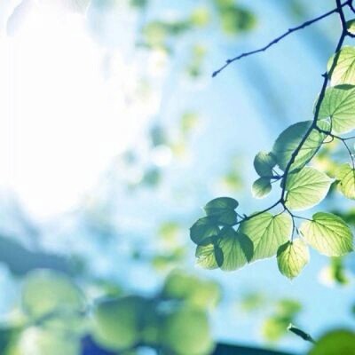 2024微信头像风景图片新款高清(6)