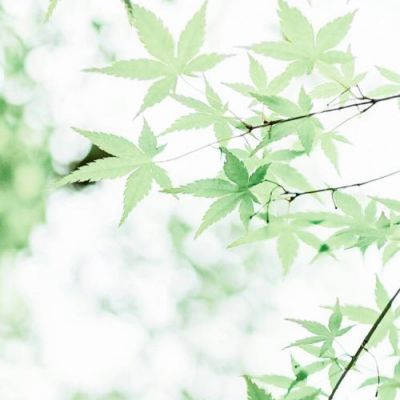 qq头像风景原图(10)
