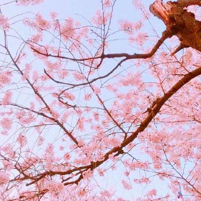 微信头像简约干净的风景图片(6)